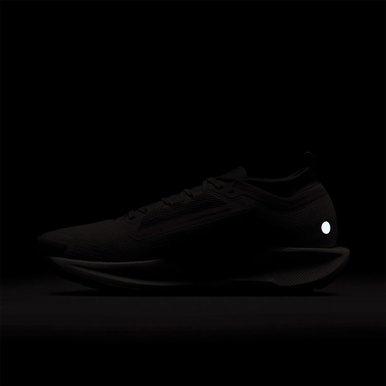 Nike ReactX Pegasus Trail 5 GTX